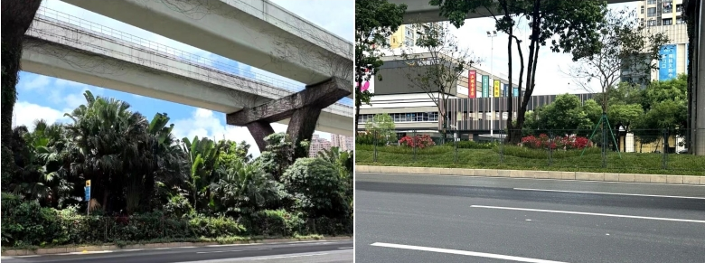 ʱ(й)ǲ!